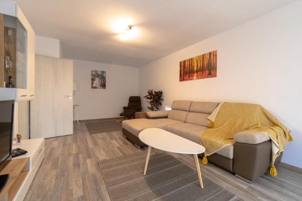 Transylvanian Apt. W/ Lrg. Terrace And Parking - Karpatenhaus